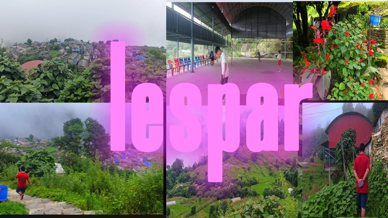 Lespar  tallo gau 
