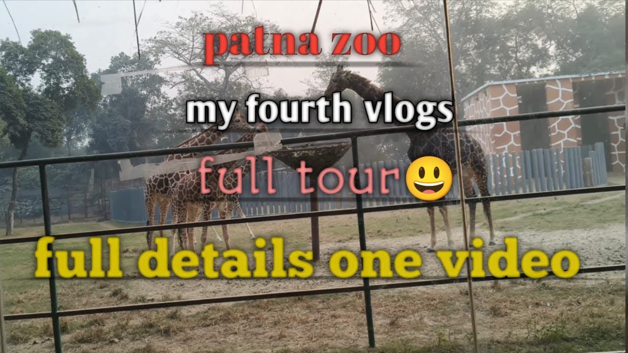 Patna Zoo का पूरा Tour | Full Day Adventure in Patna Zoo 🦁🐘” #brijeshkvlogs  #vlog #patnazoo #patna