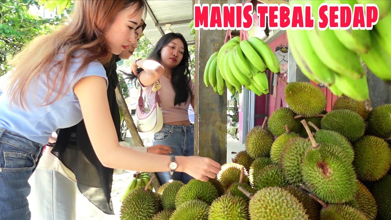 Berburu durian mansalong yang dikenal lezat soal rasa lidah gak bisa bohong