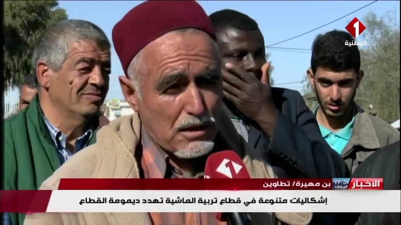 تطاوين: إشكاليات متنوعة في قطاع تربية الماشية تهدد ديمومة القطاع