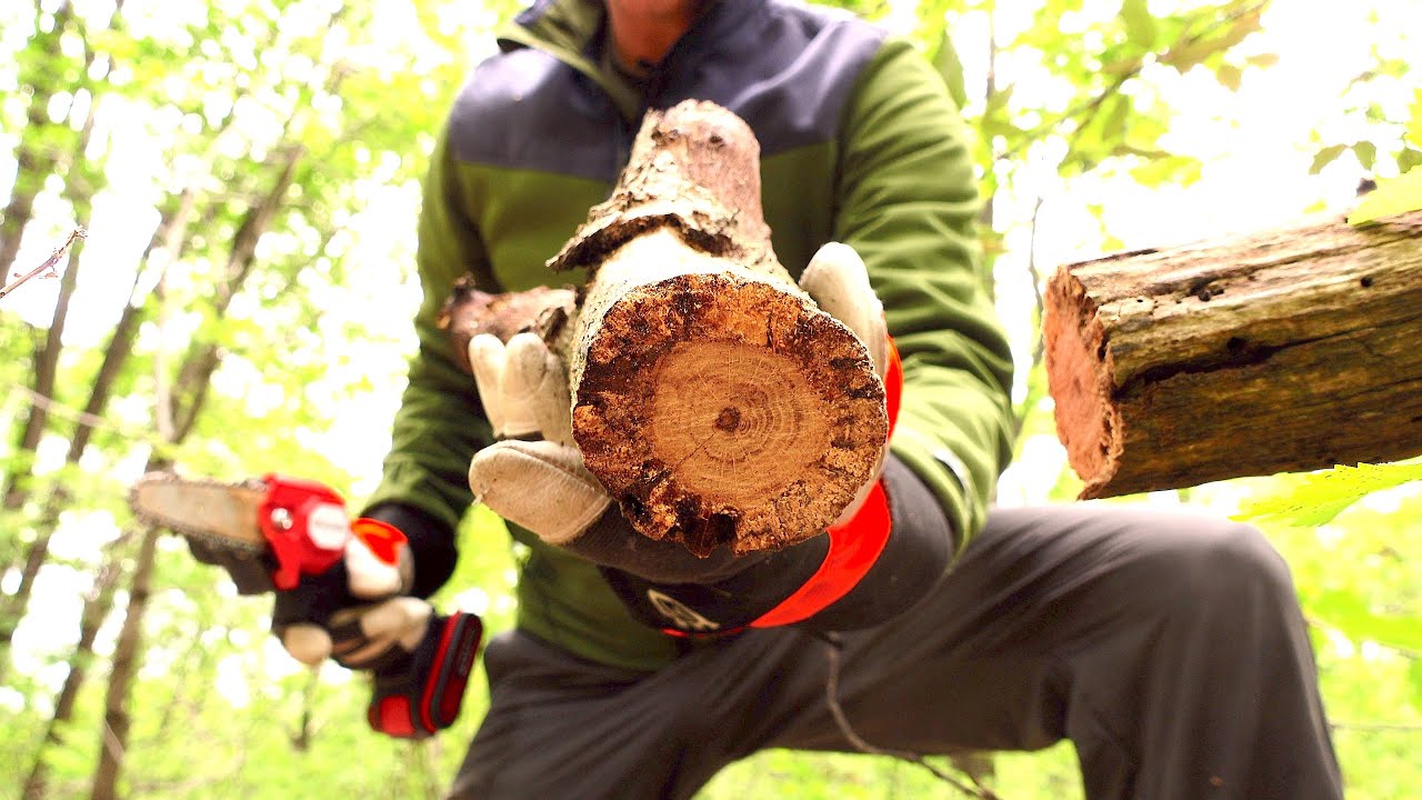 Mini motosega ( mini chainsaw ) a batterie - secondo acquisto Banggood - Unboxing e test nel bosco