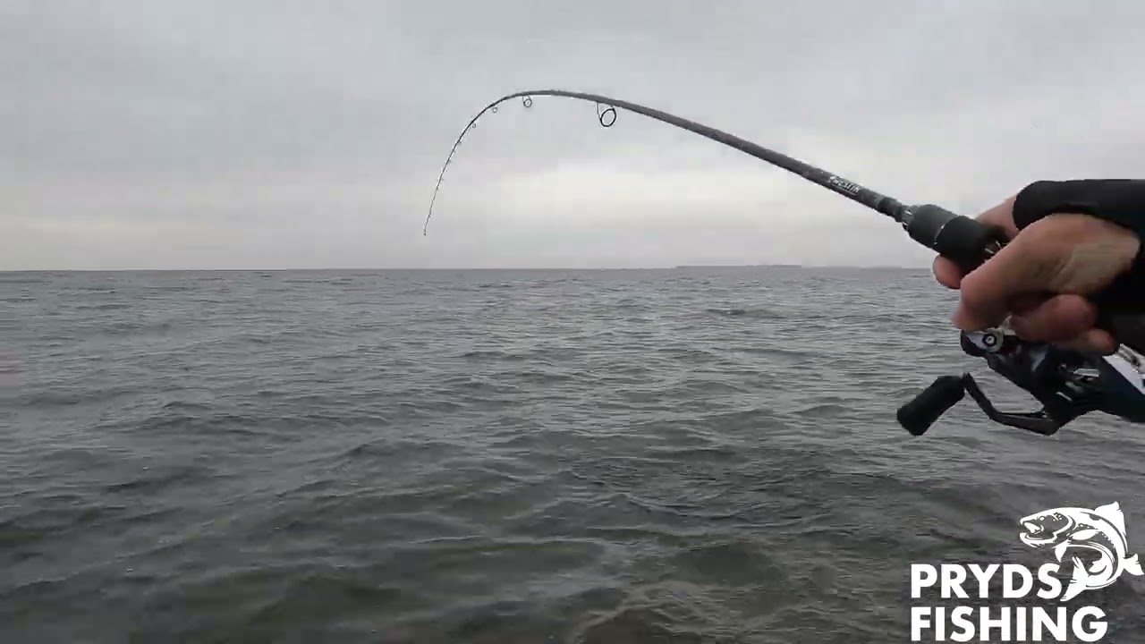 Voderup klit og Borgnæs 🎣 DEL 2  🐟 Ærø 🎥 Havørred fiskeri