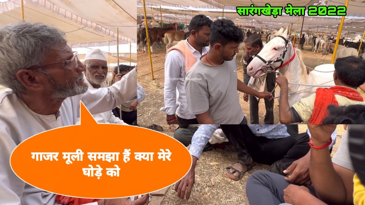 पहला सौदा ठोक बजाकर सारंगखेड़ा के बाजार में || Chetak Festival || घोड़ा बाजार सारंगखेड़ा