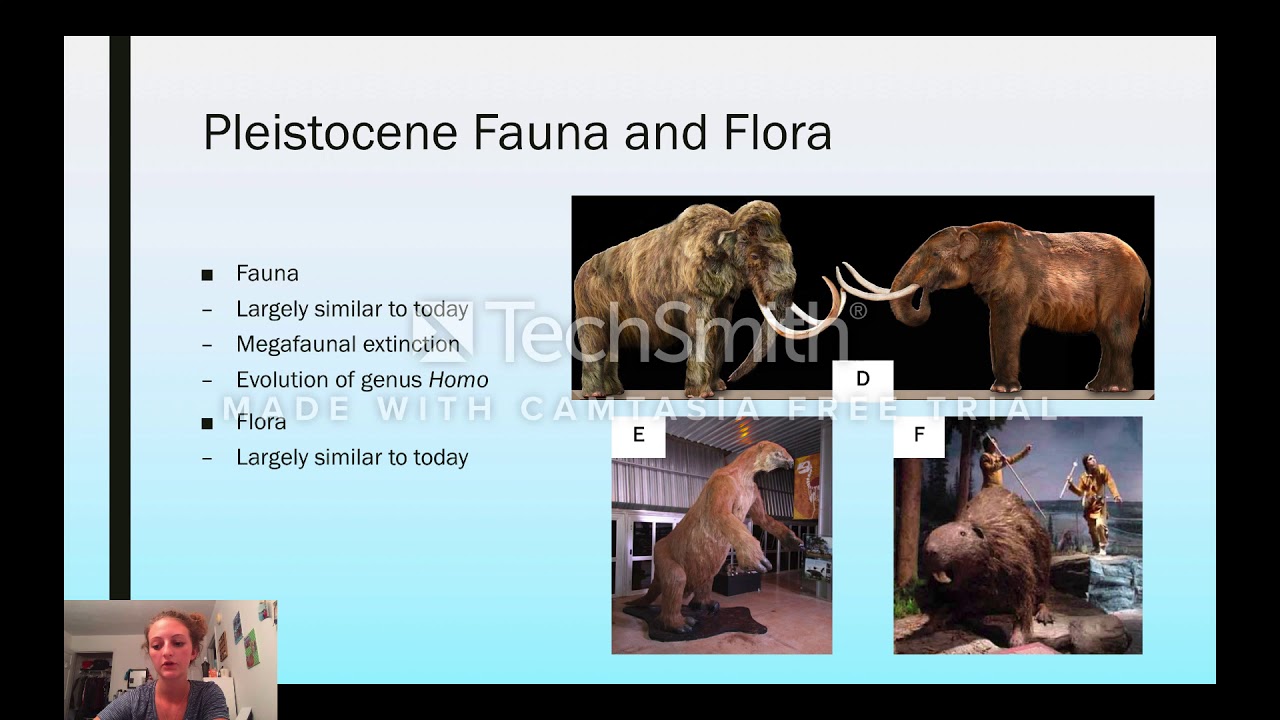 Pleistocene Epoch