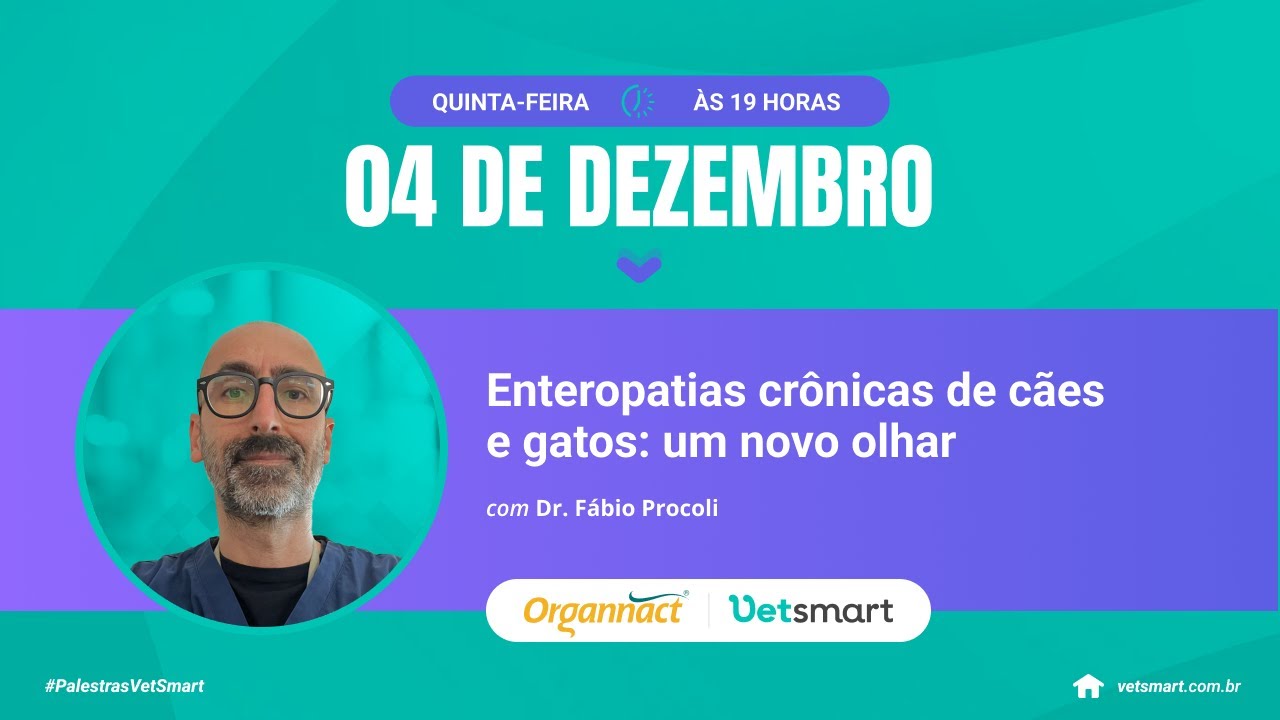 Enteropatias crônicas de cães e gatos: um novo olhar