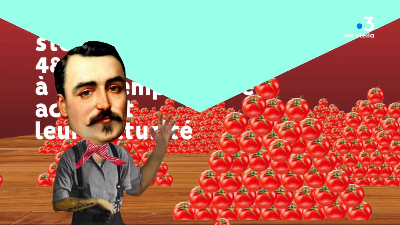 Clin d’œil - La Tomatina