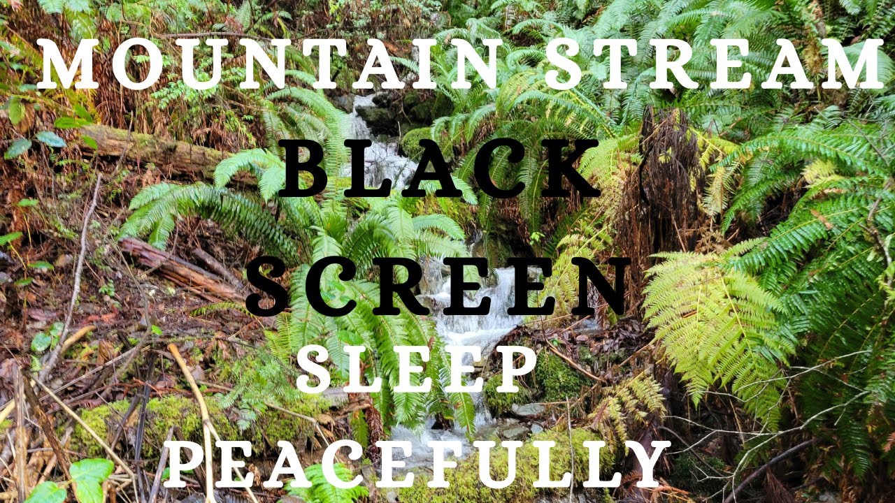 Healing Mountain Stream