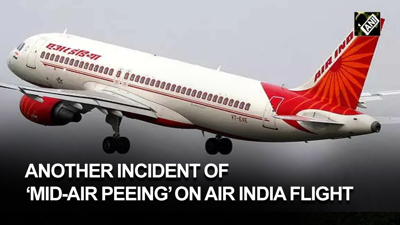 Another incident of 'mid-air peeing' during Paris-Delhi Air India flight