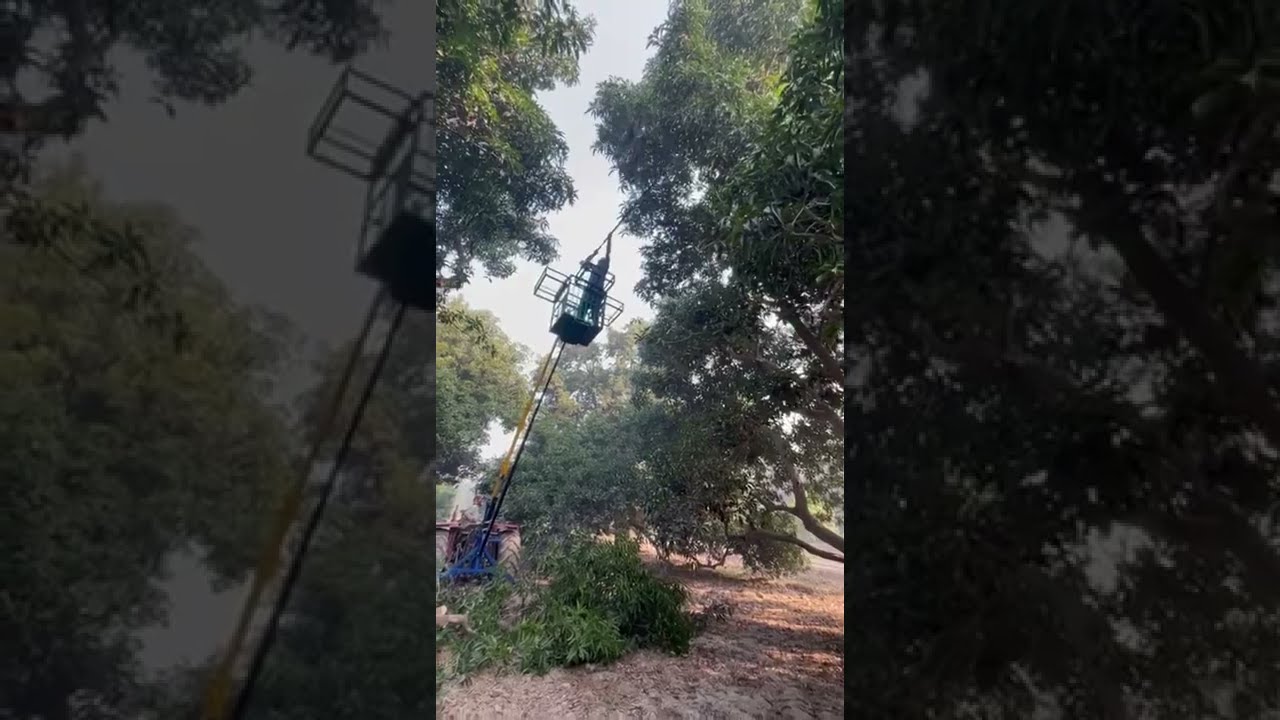 Tractor mounted platform for pruning and fruit picking developed by MRI & AMRI