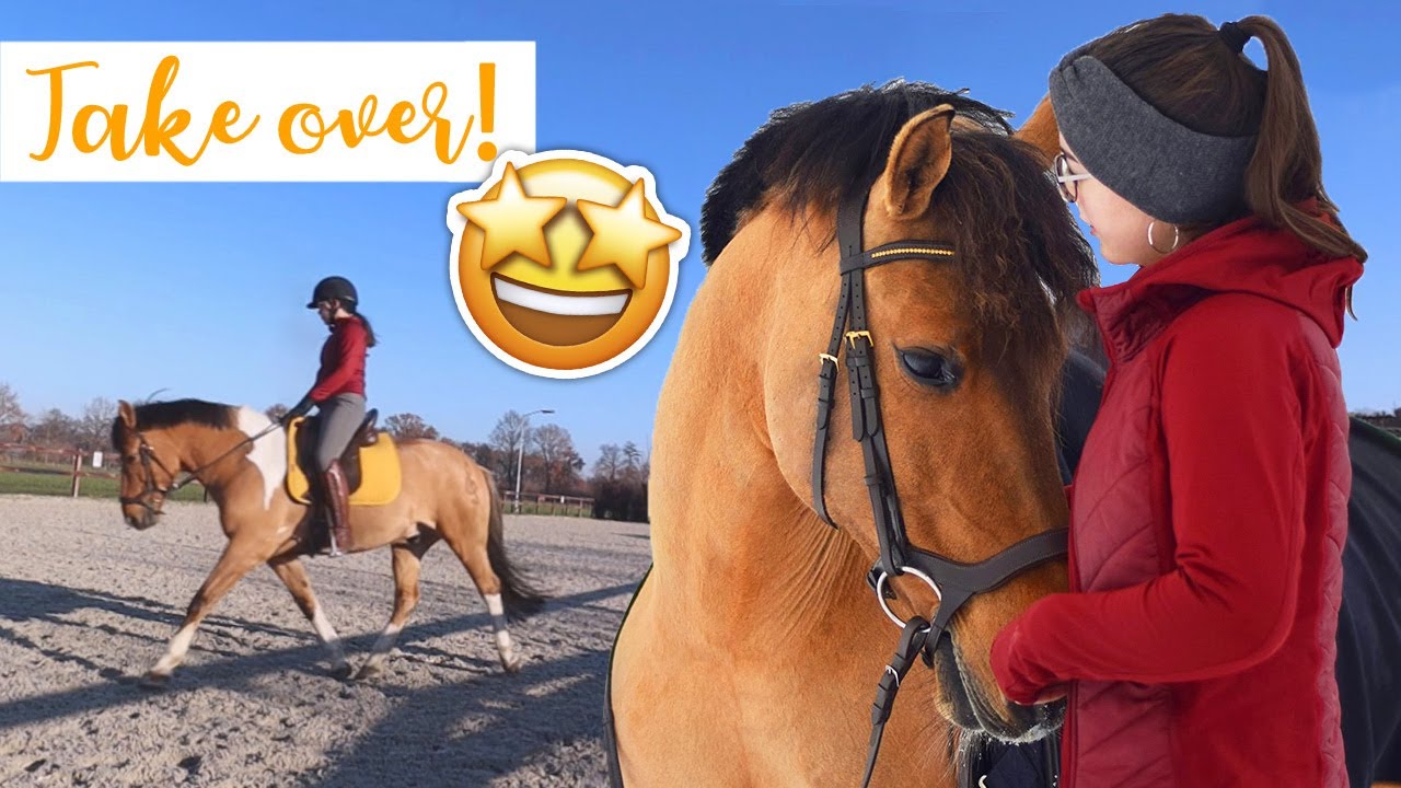 MIJN VERZORGSTER FILMT HAAR DAG MET MARLEY! | felinehoi VLOGMAS #230