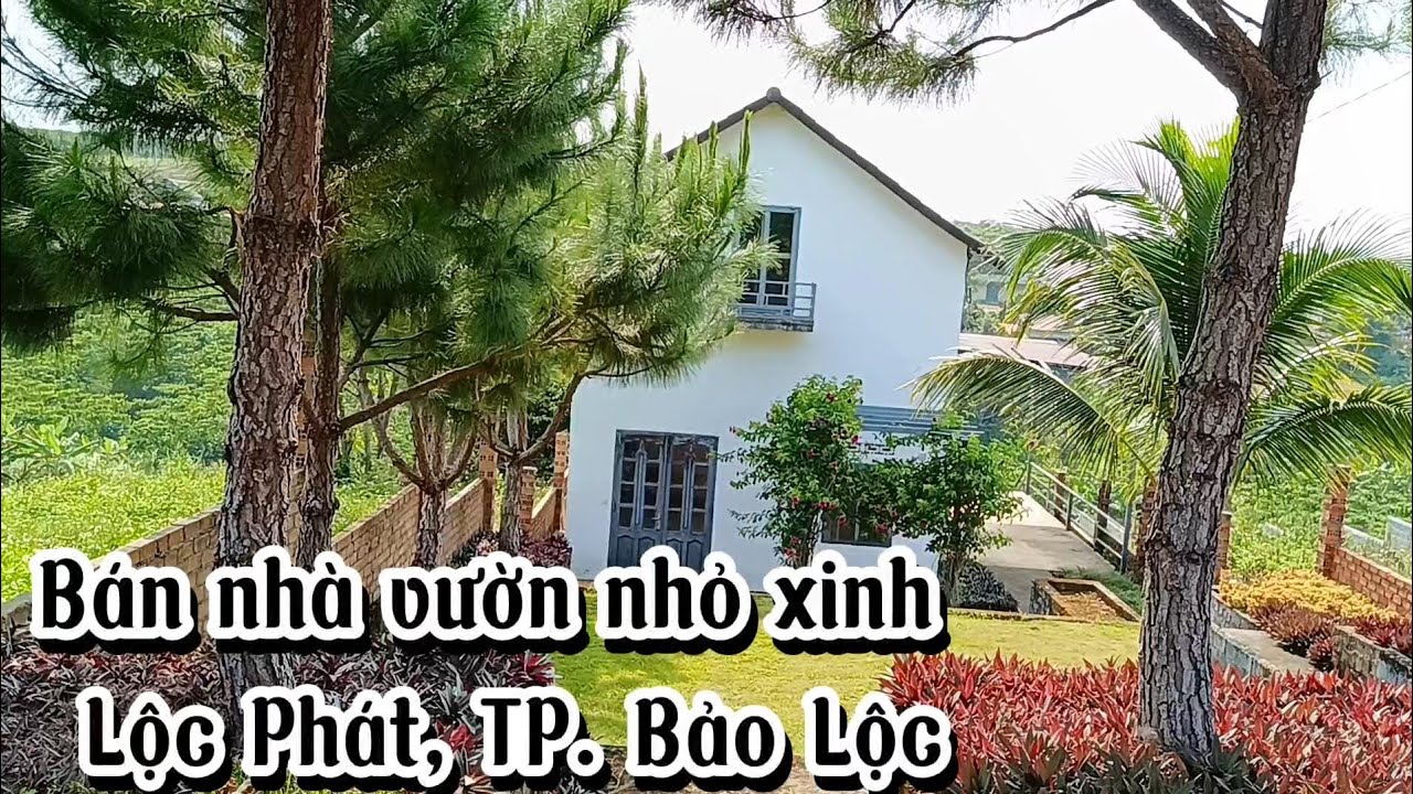 Bán nhà vườn 750m2 ngay phường Lộc Phát, TP. Bảo Lộc|| Veiw thoáng đẹp|| Vườn cây, tiểu cảnh
