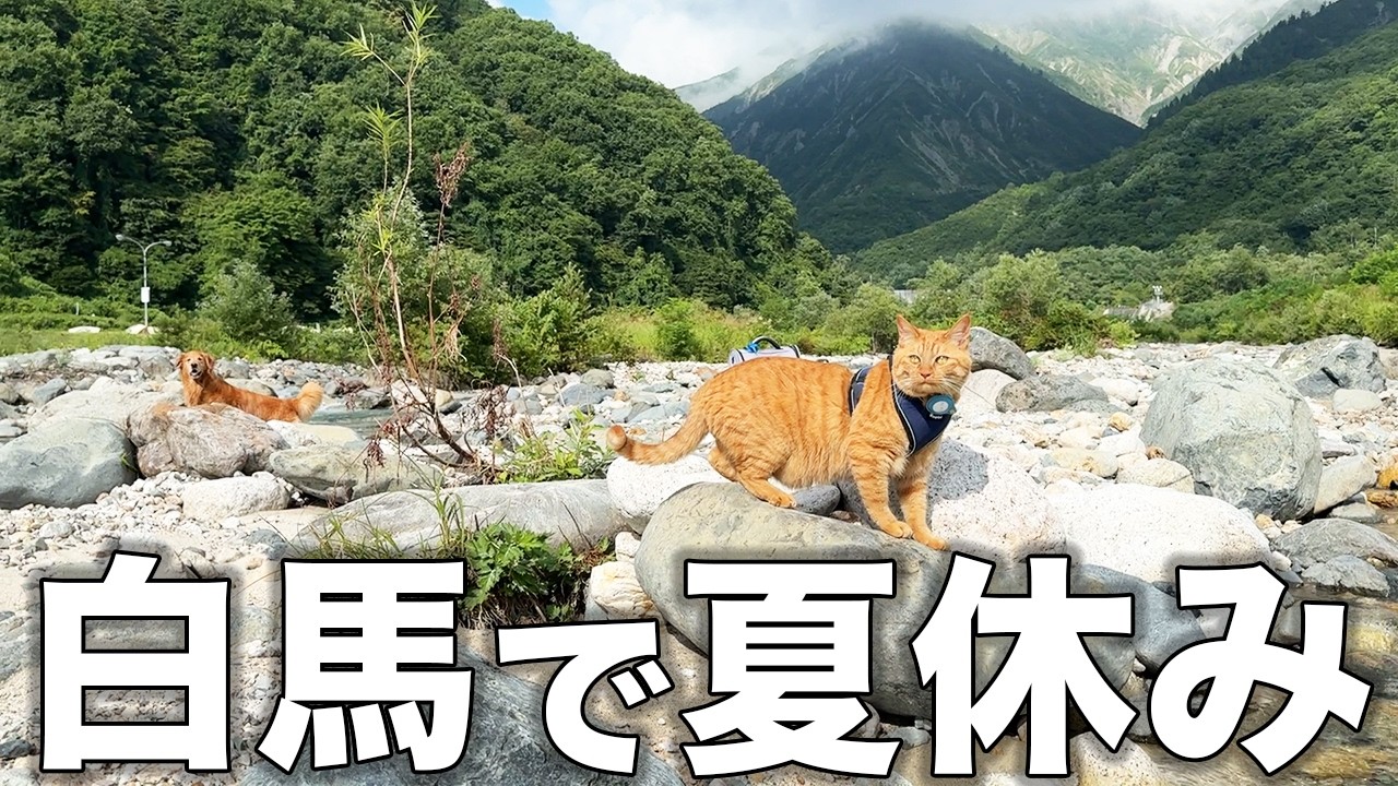 白馬村北アルプスの絶景に度肝抜かれました・・・【車中泊】