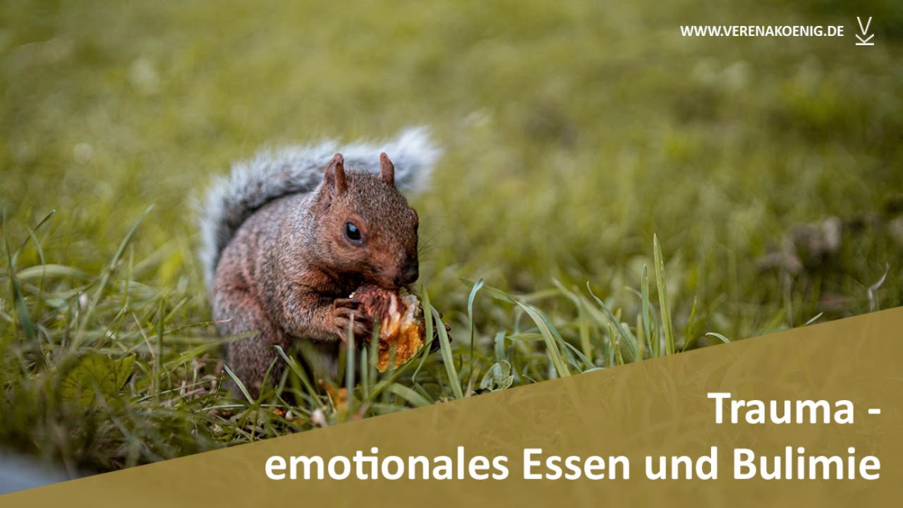 Trauma - emotionales Essen & Bulimie // Podcast #99