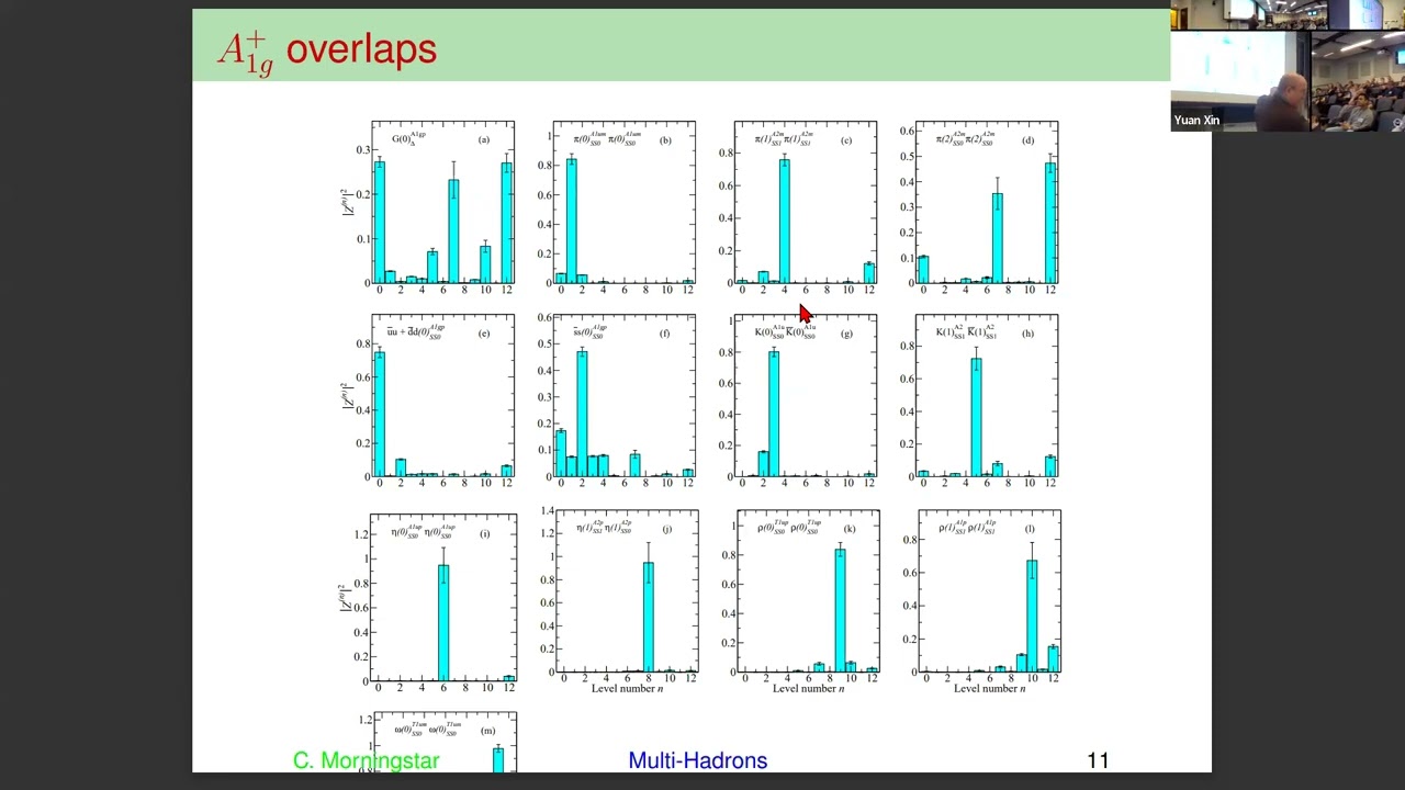 Colin Morningstar, “Glueballs, static quark potentials, and hadron resonances from lattice QCD”