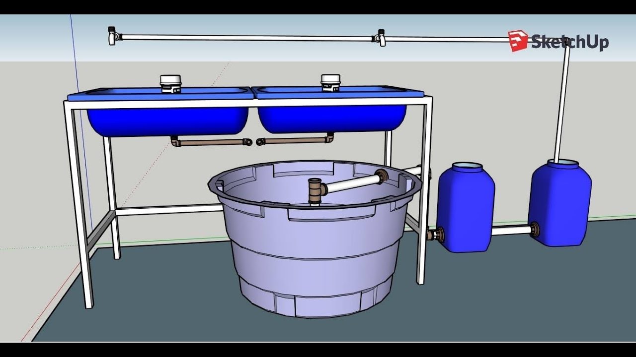 Sistema Aquapônico Passo a Passo