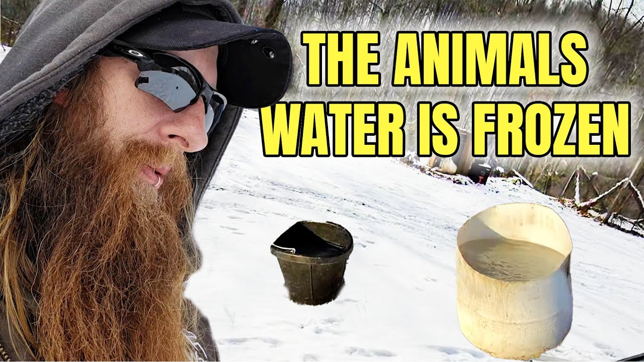 Managing animals and frozen water on the homestead