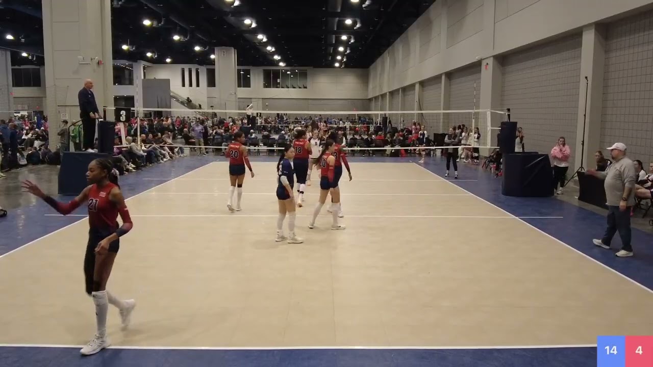 Metro 14T Vs Champion 14N Purple