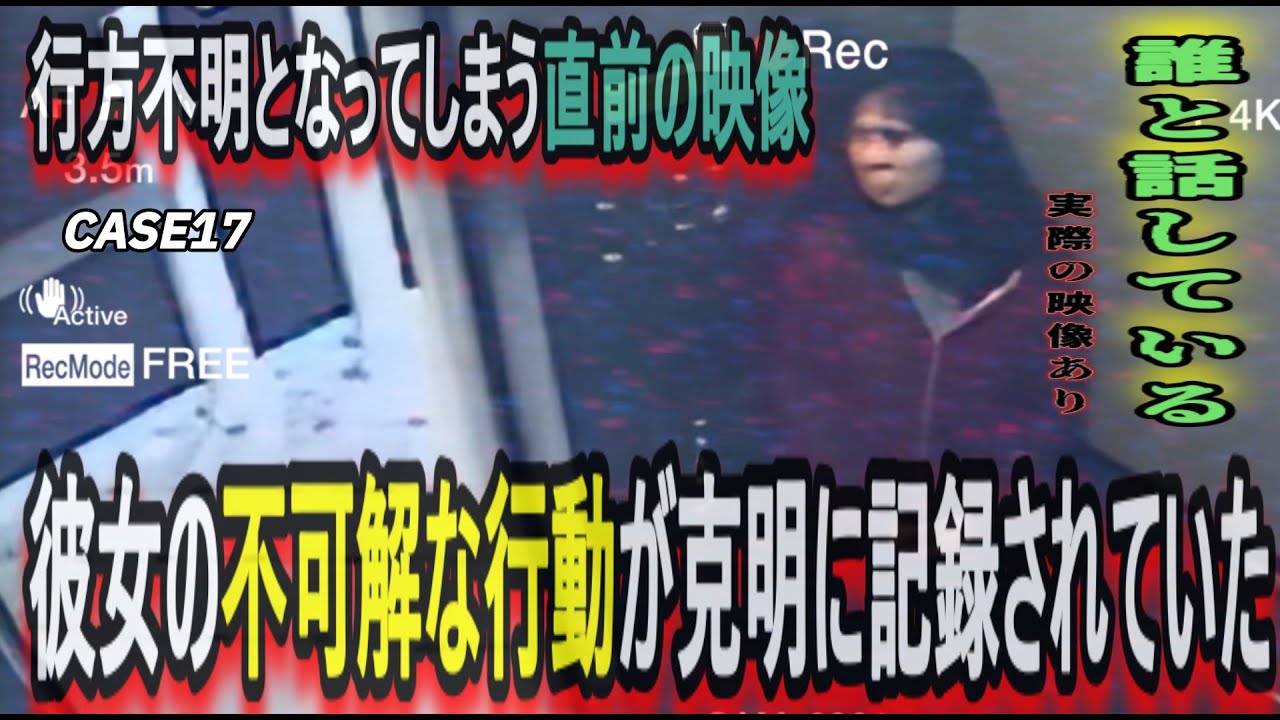 【実話】CASE17～エリサ・ラム事件（2013年アメリカ）貯水タンクから遺体…世界中が震えた「エレベーターの映像」とセシルホテルの呪い～【DSS考察】 #考察  #恐怖  #未解決事件