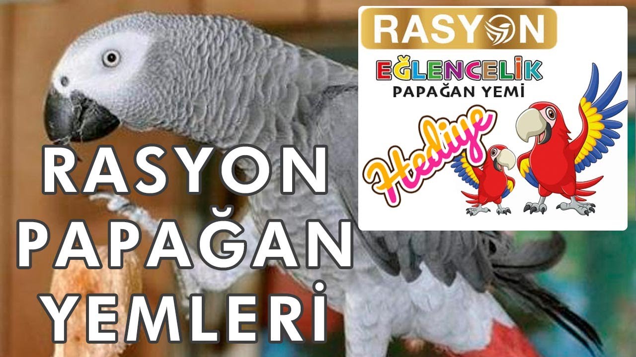Rasyon Papağan Yemleri