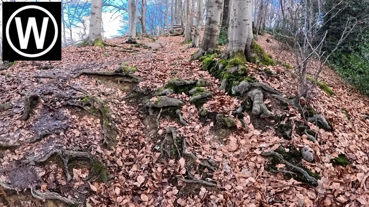 Wuppertaler Rundweg Tag4: 24km von Wuppertal Eckbusch bis Langerfeld