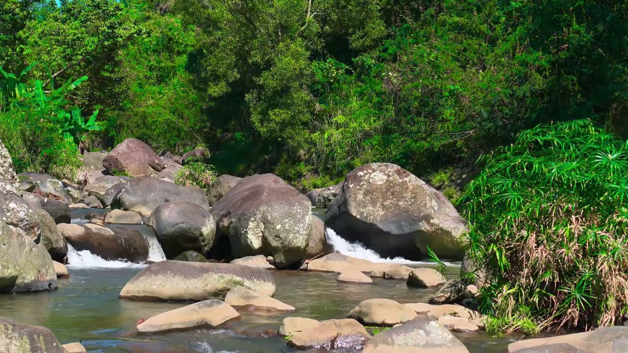 Golden Hour River: 4K Nature Video for a Perfect Morning