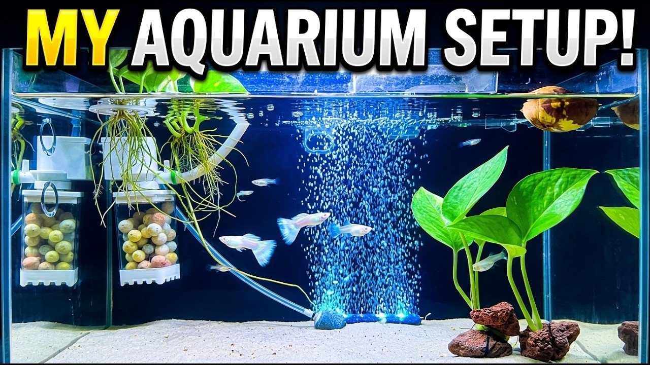 EASY DIY Aquarium Setup for Beginners! 🐟✨Day 05 | NO MUSIC