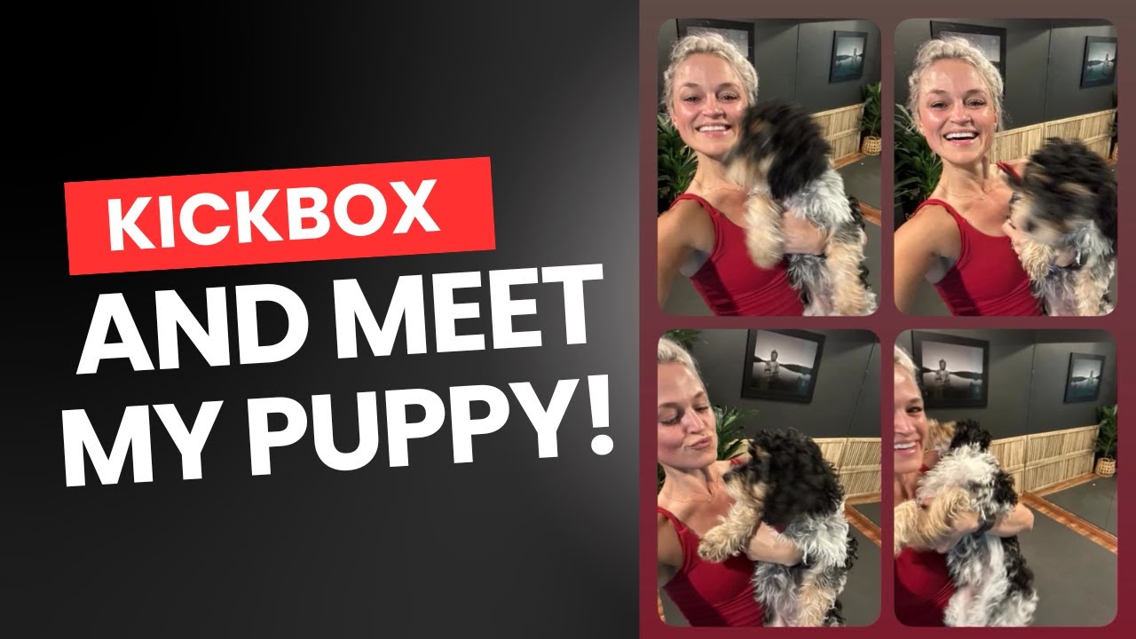 Kickbox (& Meet My Puppy!)