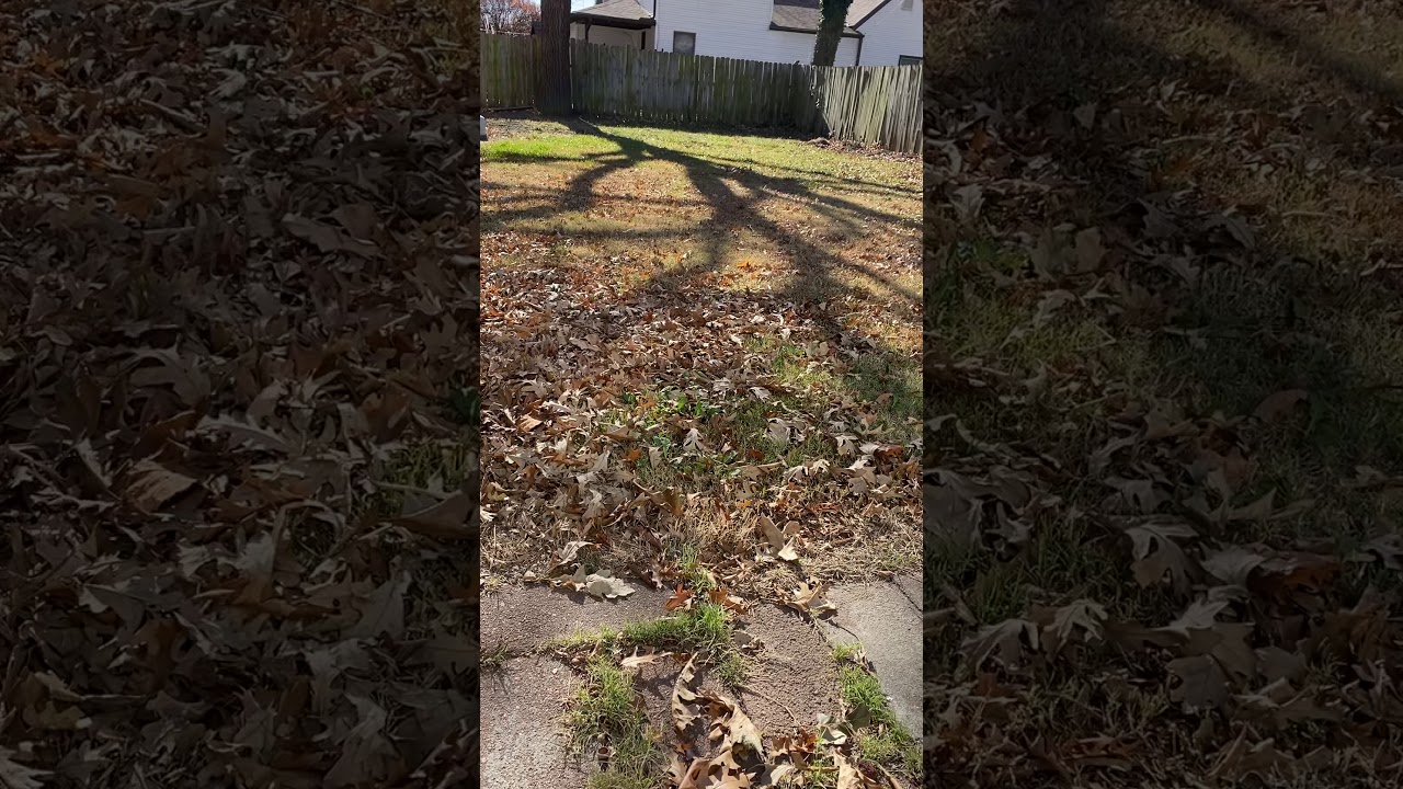 Wichita Kansas Tornado Siren Test Ambience ( Sedgwick County Siren Test)11/30/20