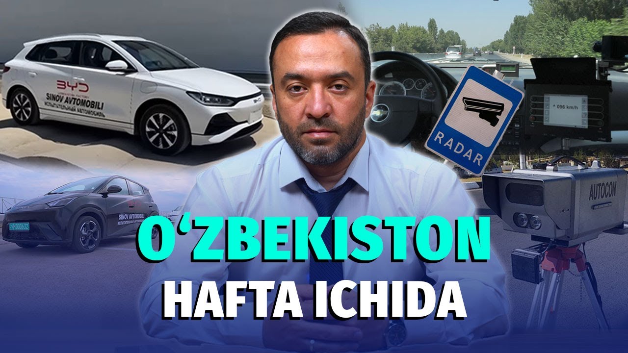 Sinovdagi Seagull va cheksiz qoidabuzarlik huquqi | Hafta dayjesti