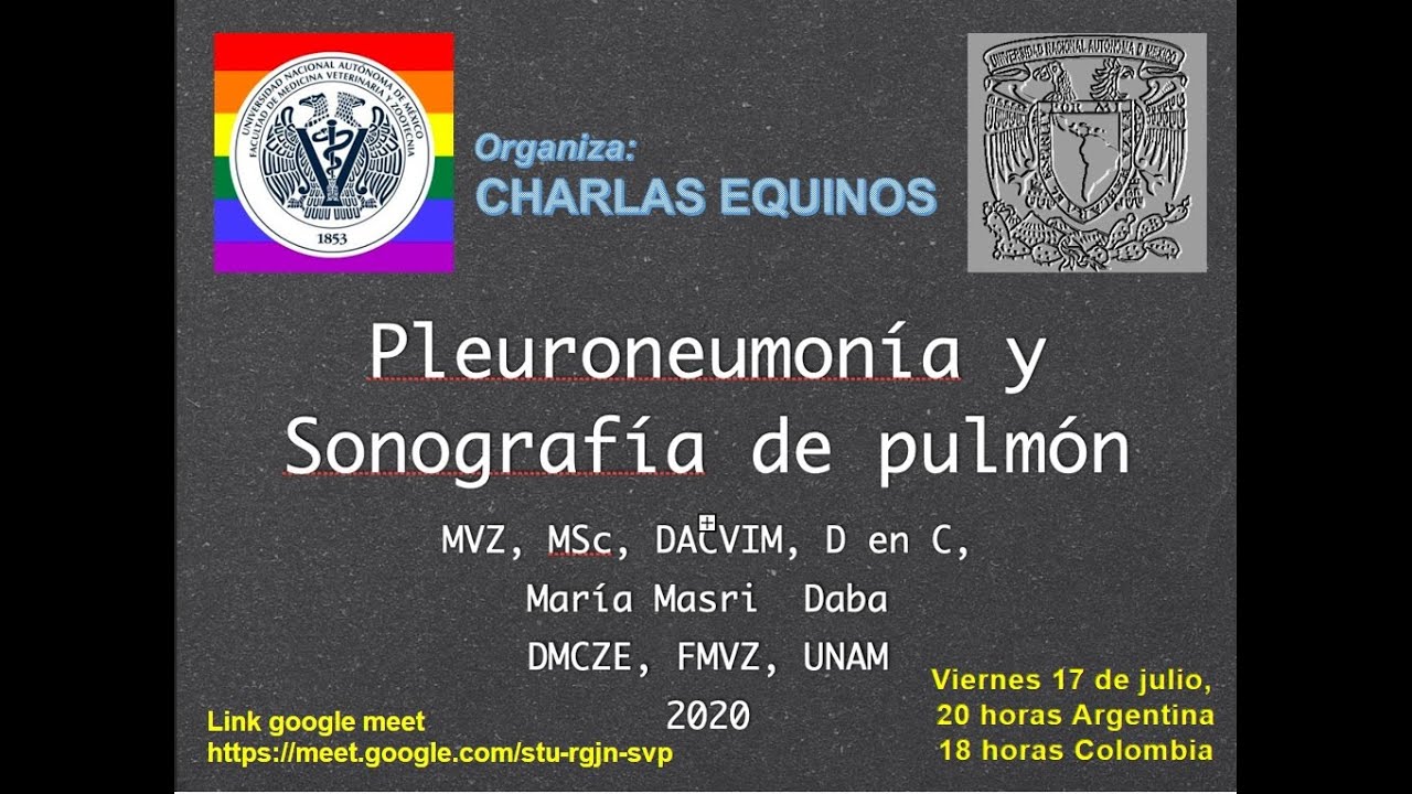 CHARLAS EQUINOS, Pleuroneumonia y sonografía de pulmón