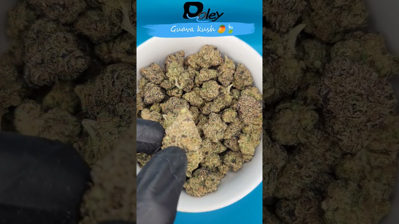 Guava kush 🥭🍃