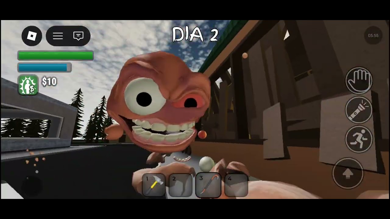 Jogando  com meus primos
