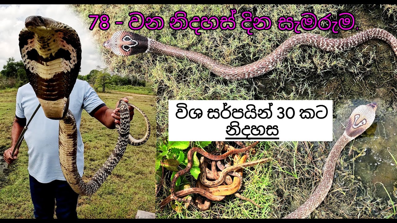 78th - Independence Day Celebration