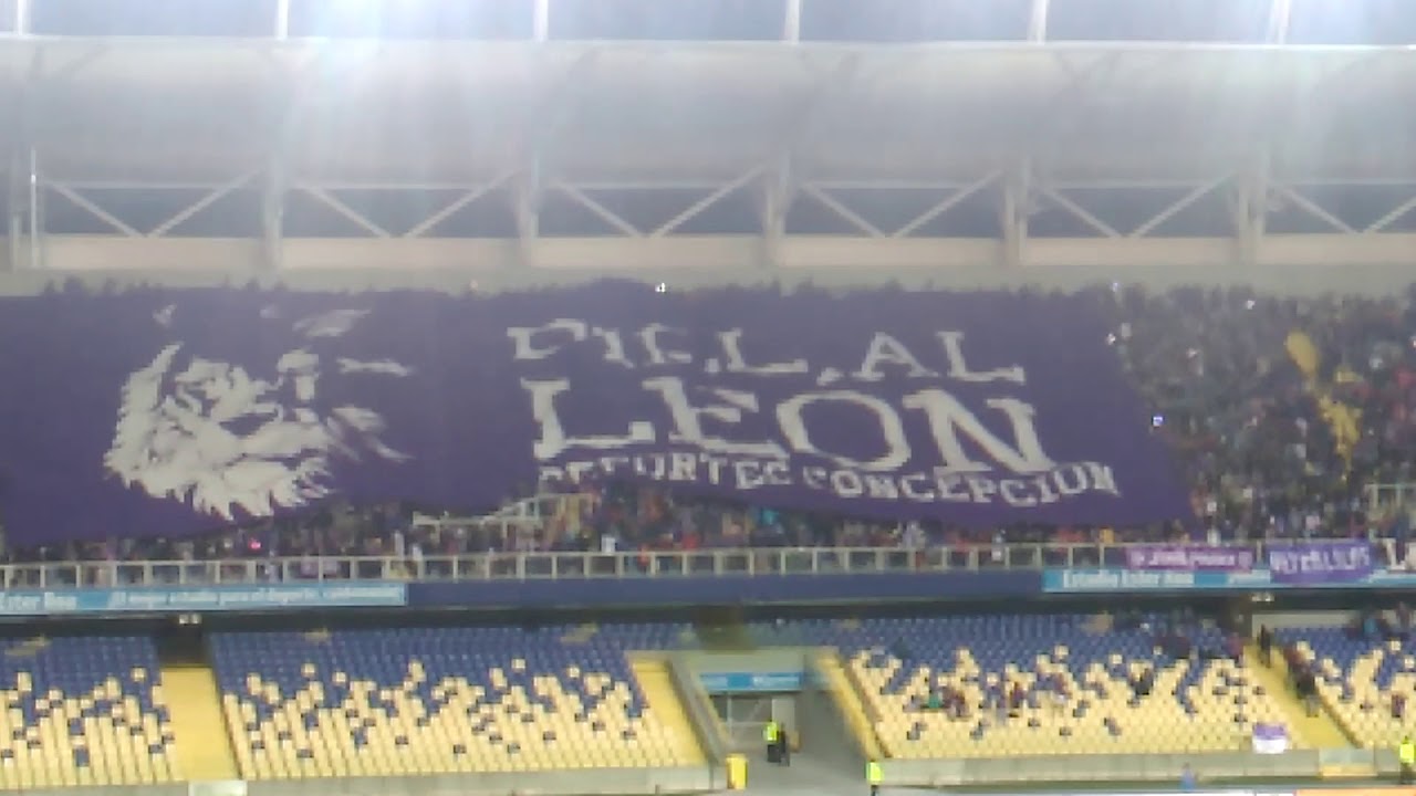 El Le&oacute;n de Collao...