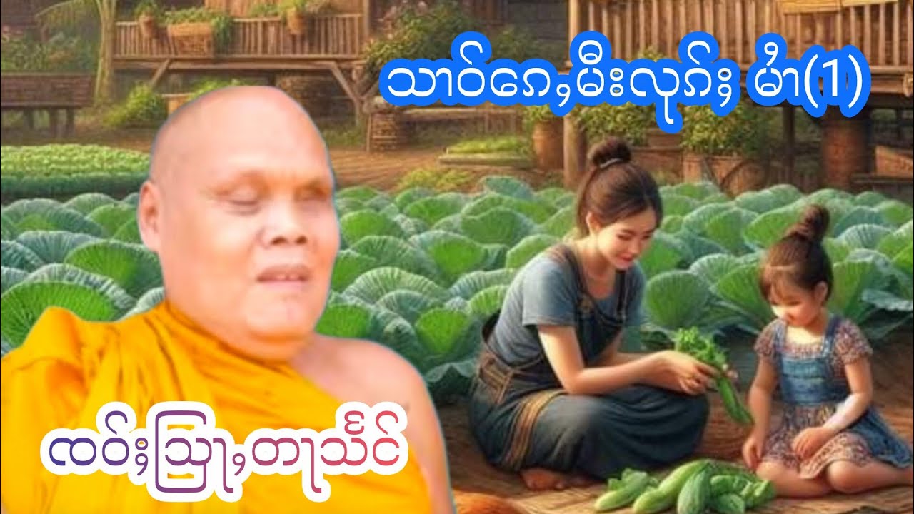 ၸဝ်ႈတႃသႅင် ၼႃႈႁိူၼ်းဢမ်ႇတေႇသၢဝ်ၵေႇမီးလုၵ်ႈ (1) จ้าวตาแสง