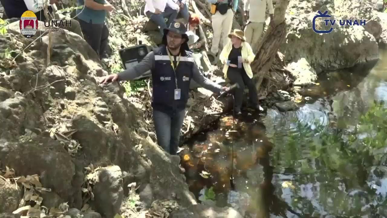 🔴 #EnVivo | La UNAH Investiga | El 25% de pacientes renales de Honduras son de la zona sur del país