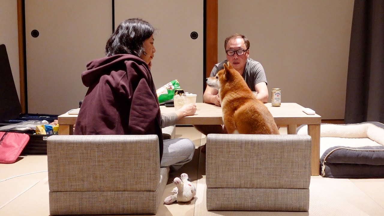 うちの柴犬は自分を人間だと思ってることが判明しました【熱川旅行 前編】