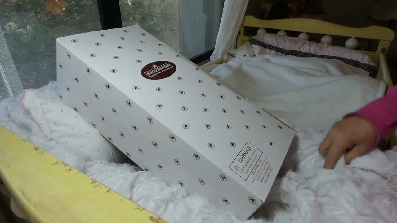 New Ashton Drake Box Opening. Meet my next Ashton Drake to reborn!