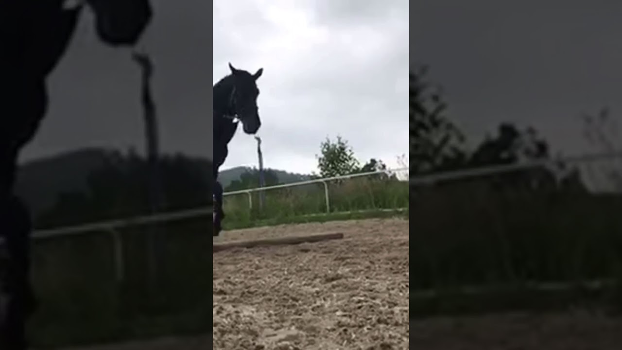 Horse Riding Music Video | Break up with your girlfriend ❤️🏇🏻 (OPIS !!)