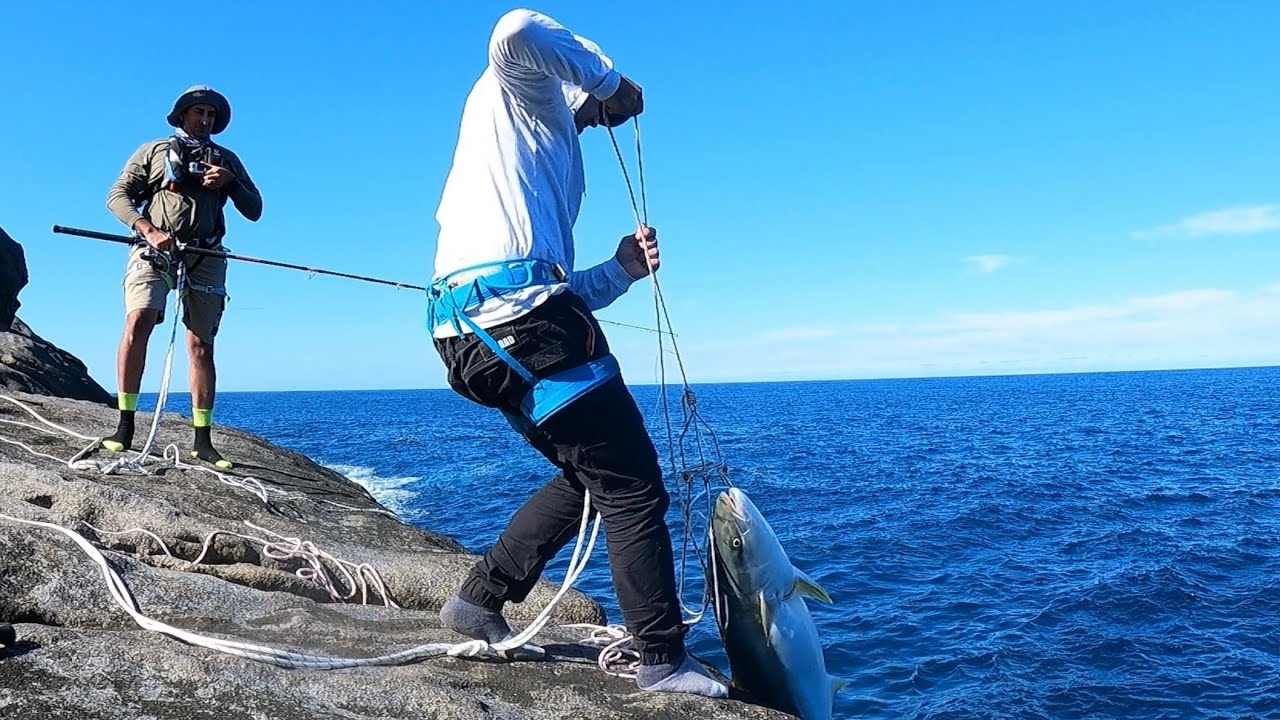 Huge Landbased Yellowtail Kingfish Cliff Fishing off the south coast rocks (PART 1)