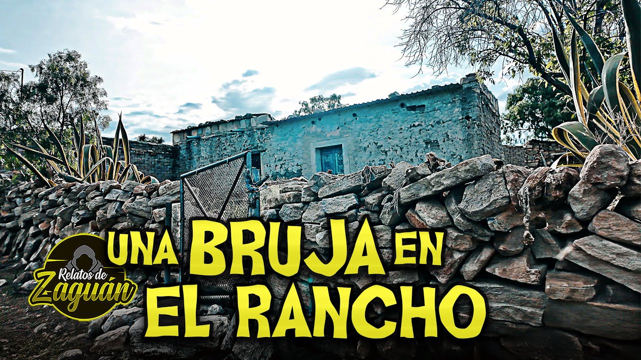 UN ENORME ANIMAL SE ESTÁ COMIENDO LAS GALLINAS DEL CORRAL !!