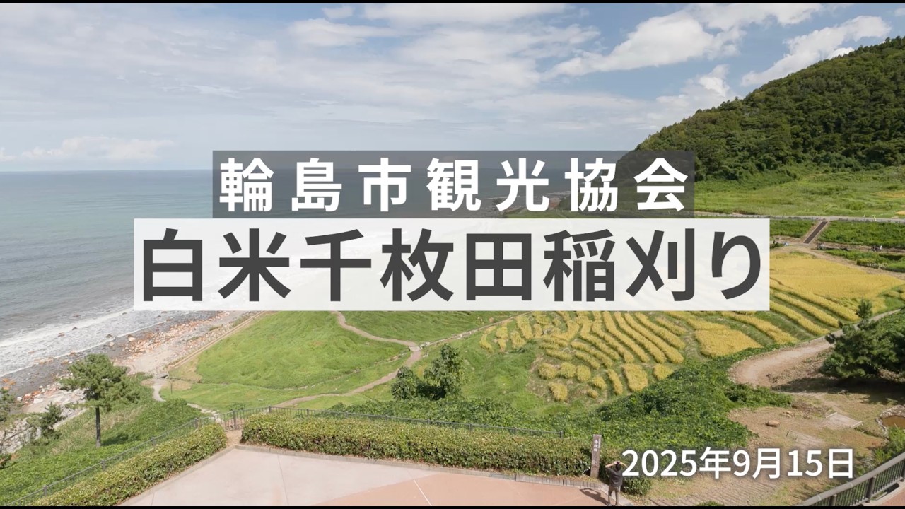 【白米千枚田稲刈り】2025年9月15日