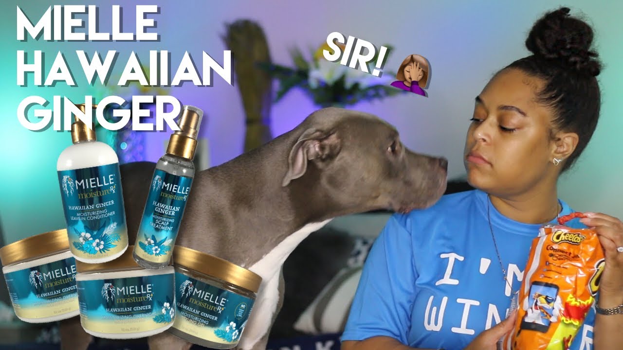 NEW!!!! MIELLE ORGANICS MOISTURE RX HAWAIIAN GINGER LINE LAUNCH | Danielle Ren&eacute;e