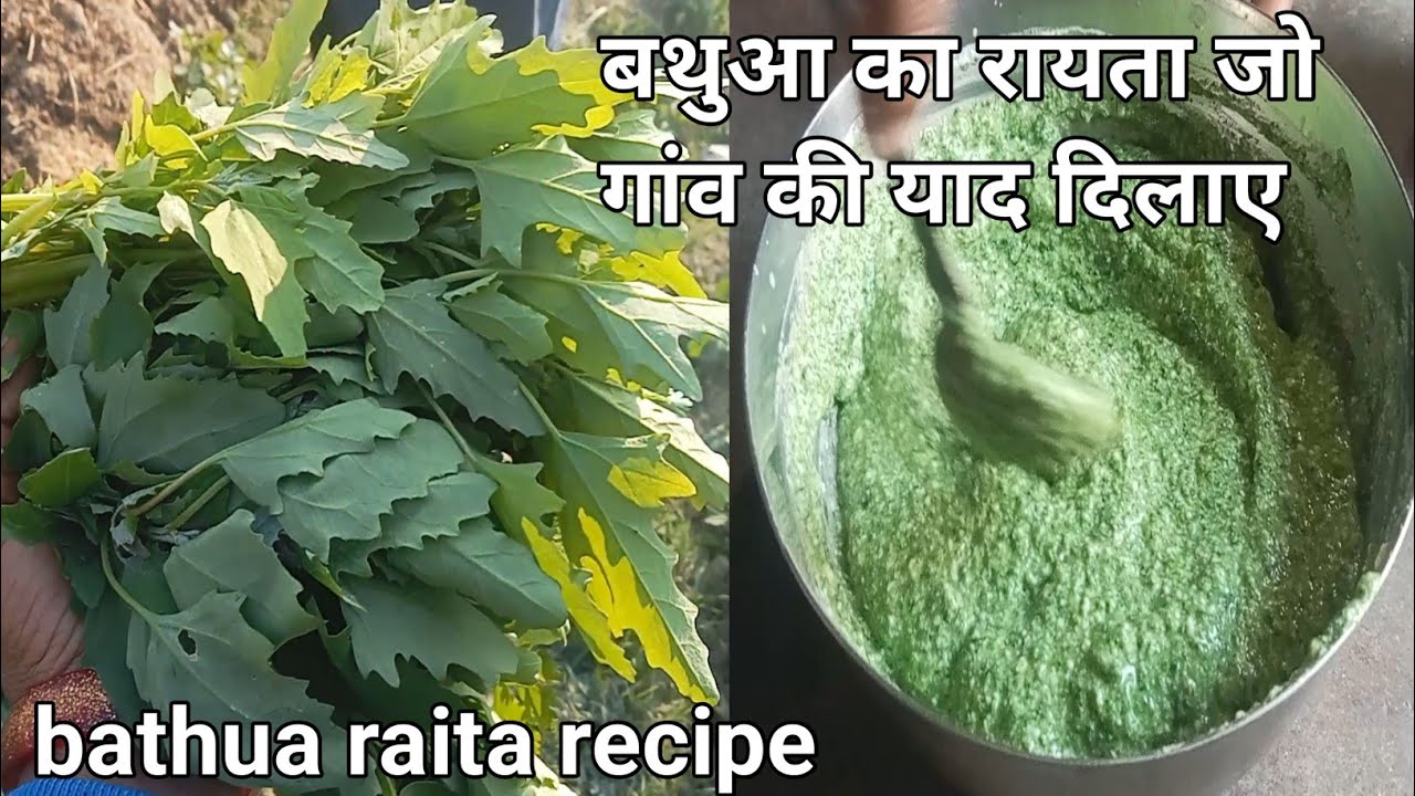 बथुआ का स्वादिष्ट रायता एकदम नए तरीके से की खाते ही घर में सब आपकी तारीफ करेंगे bathua raita recipe