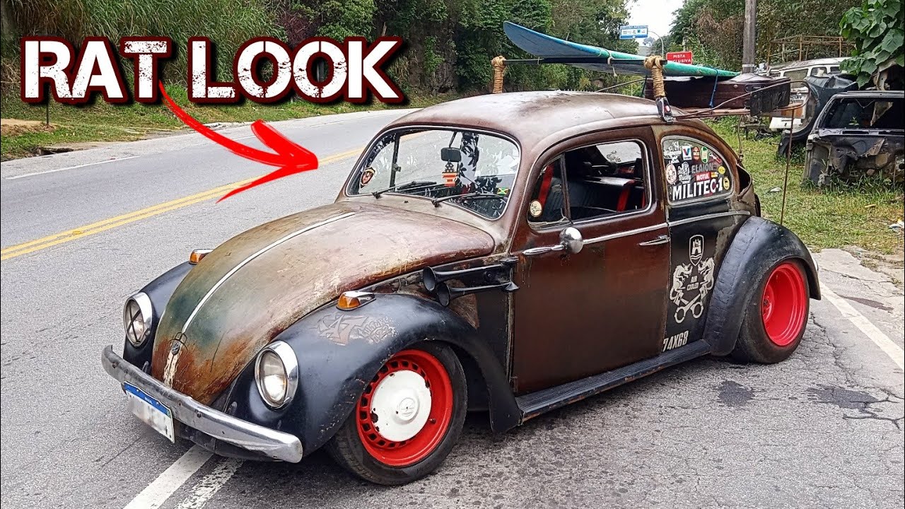 SENTA QUÊ LÁ VEM HISTÓRIA CONHEÇA DOROTÉIA FUSCA RAT LOOK RAIZ