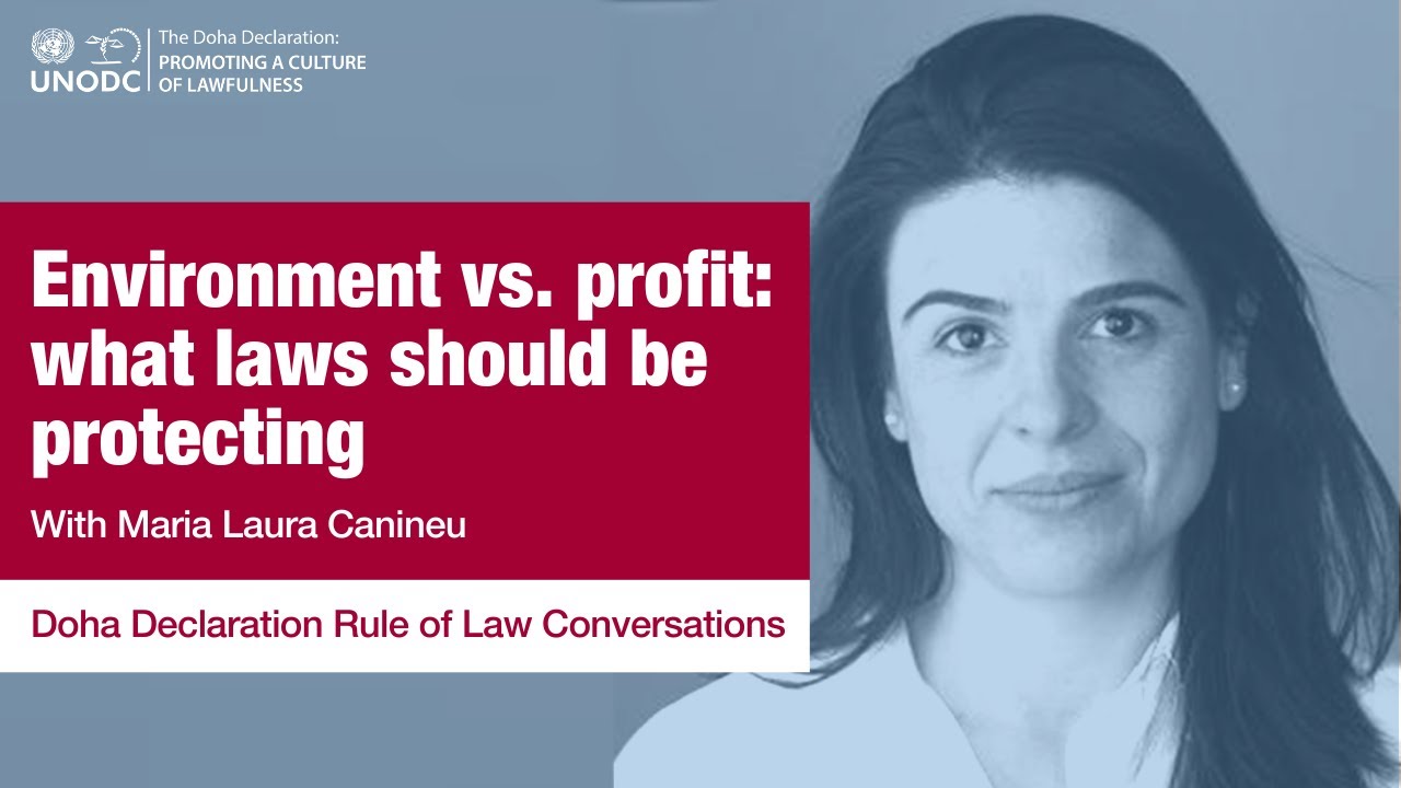 Doha Declaration Rule of Law Conversations: Ep11 - Environment vs. profit: what should be protected