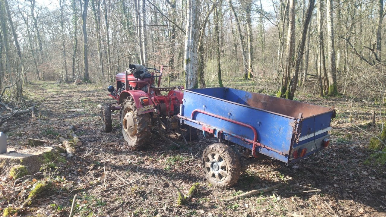 Journée au bois je retrouve ns 55 est super Pony