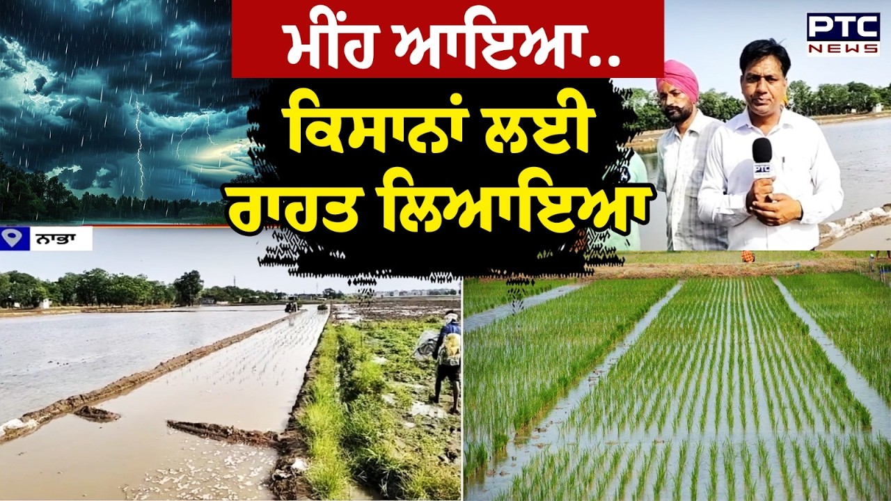 Punjab Weather : Punjab ਸਣੇ Chandigarh 'ਚ ਬਦਲਿਆ ਮੌਸਮ ਦਾ ਮਿਜਾਜ਼ | Punjabi News