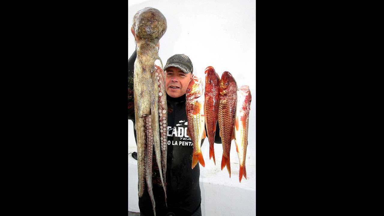 FINALE DE COMPETITION DE CHASSE SOUS MARINE EN TUNISIE