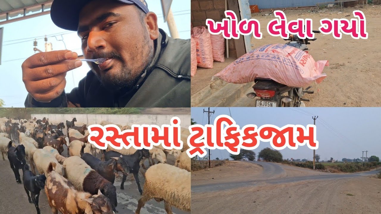 😱રસ્તામાં ટ્રાફિક જામ 😱 અને ખોળ લેવા ગયો🐄#mehulbhaivloge #villagelife #vlog 